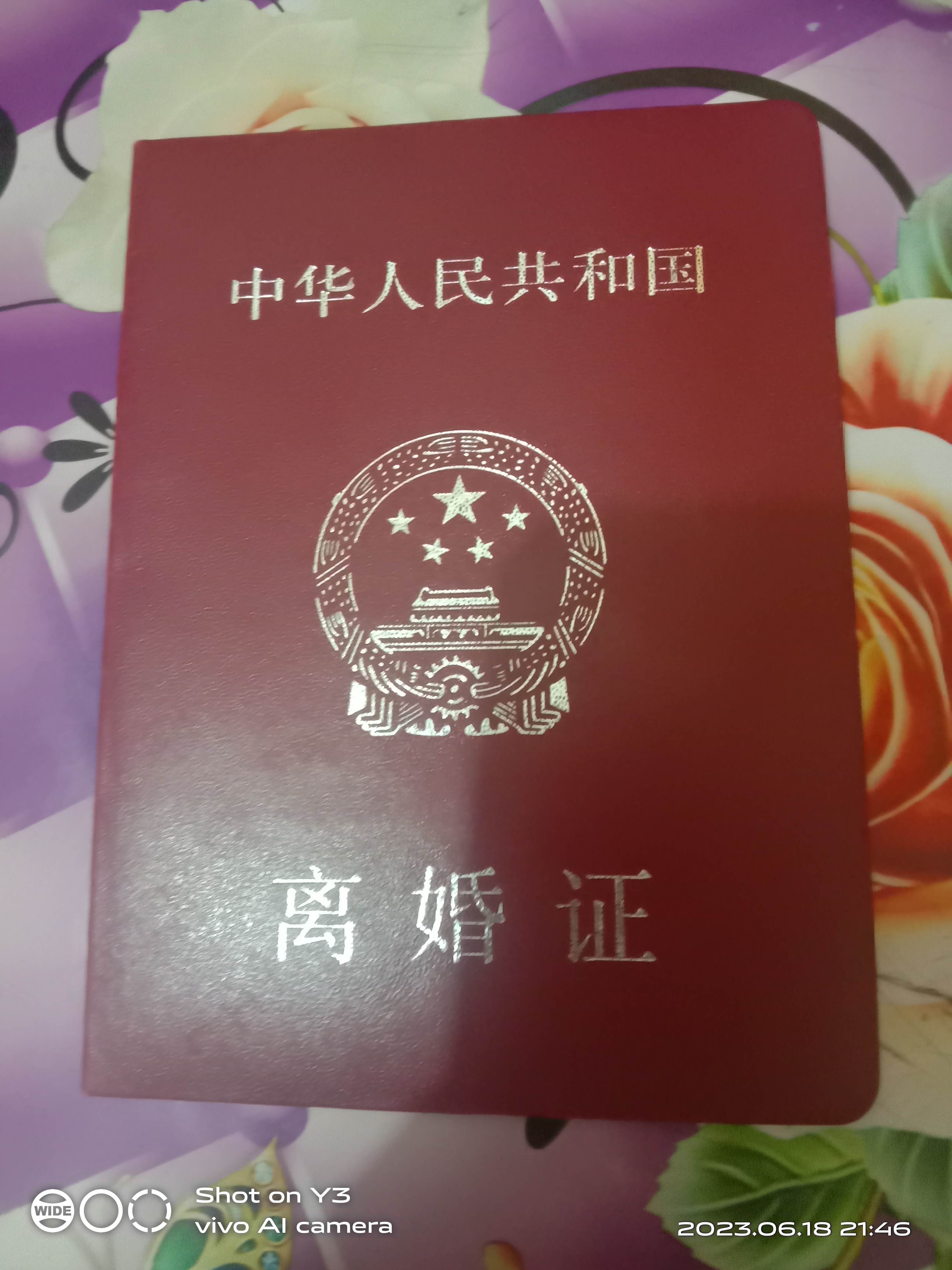 离婚证(图1)